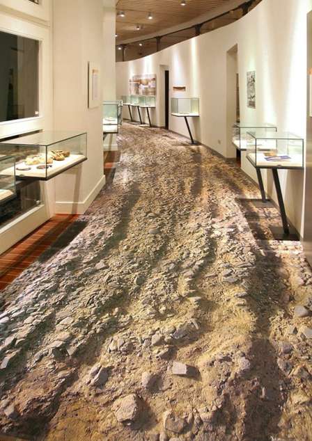 Наливные 3D полы PRIMAFLOOR